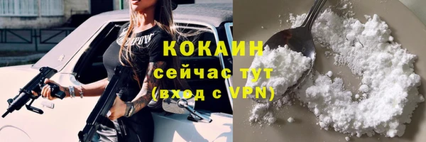 эйфоретик Богданович