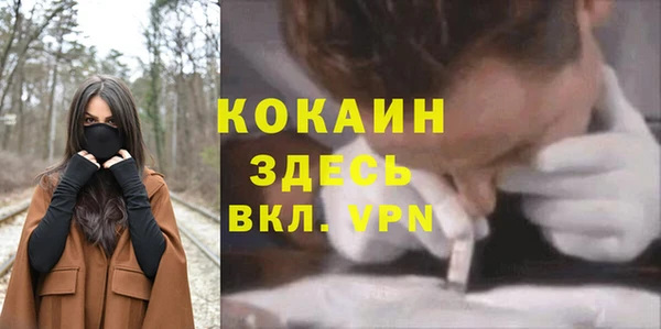 эйфоретик Богданович