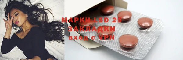 эйфоретик Богданович