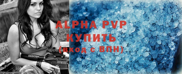 эйфоретик Богданович