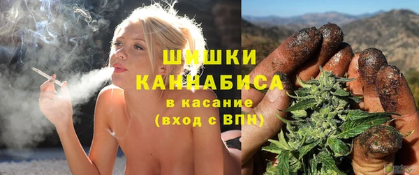 Альфа ПВП Богородицк
