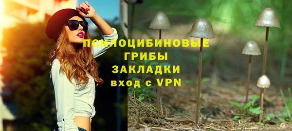Альфа ПВП Богородицк