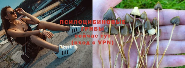 эйфоретик Богданович