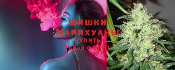 Альфа ПВП Богородицк