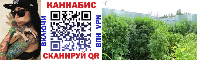 Канабис THC 21%  Бийск 